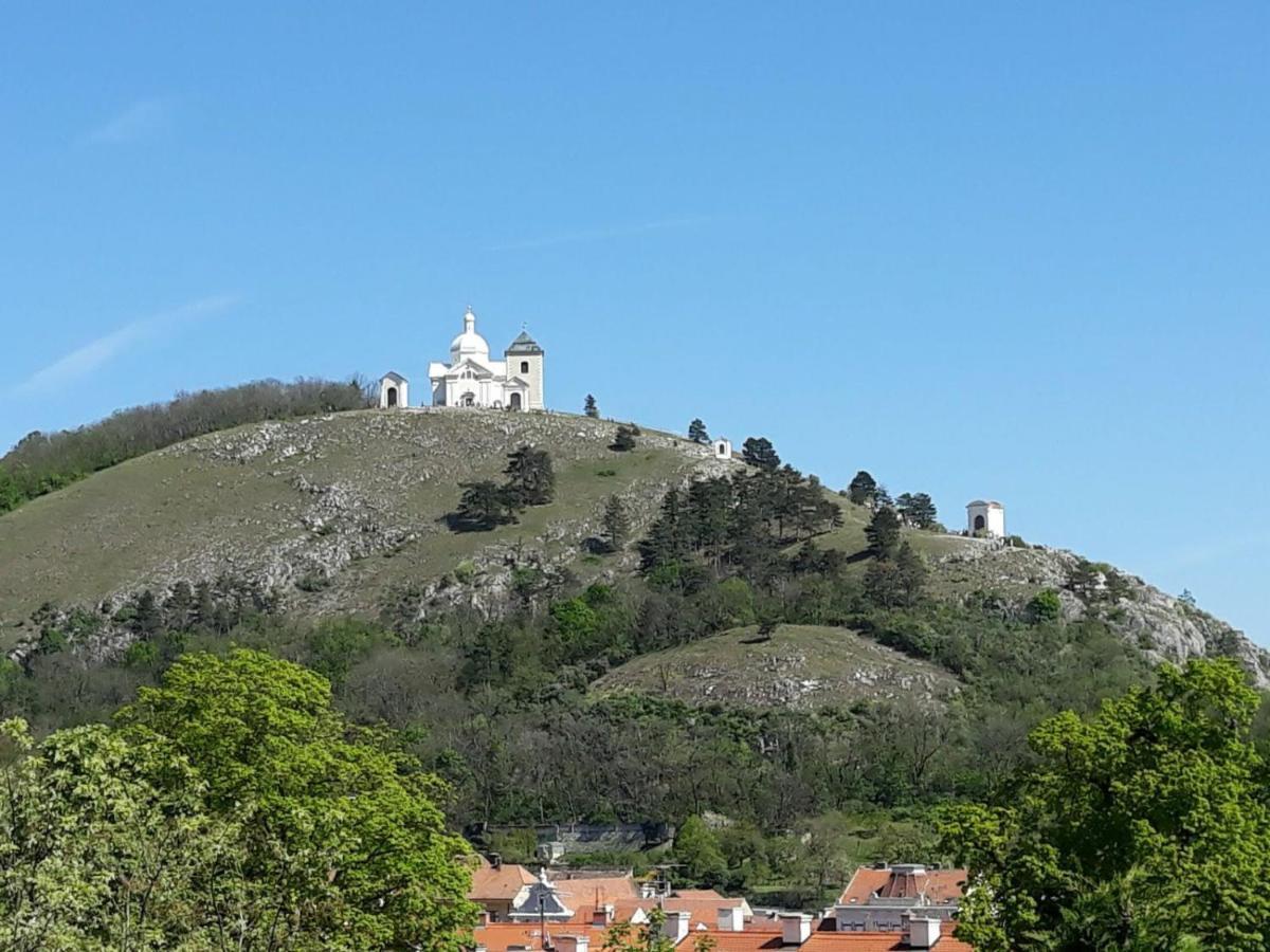 Ubytovani Na Spaciru Mikulov Zewnętrze zdjęcie